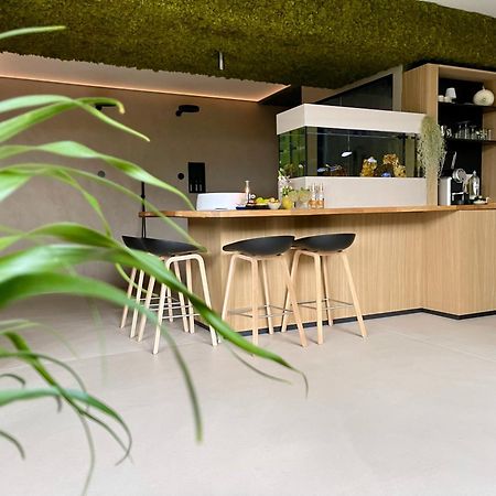 Terp Bed & Breakfast Poperinge Luaran gambar