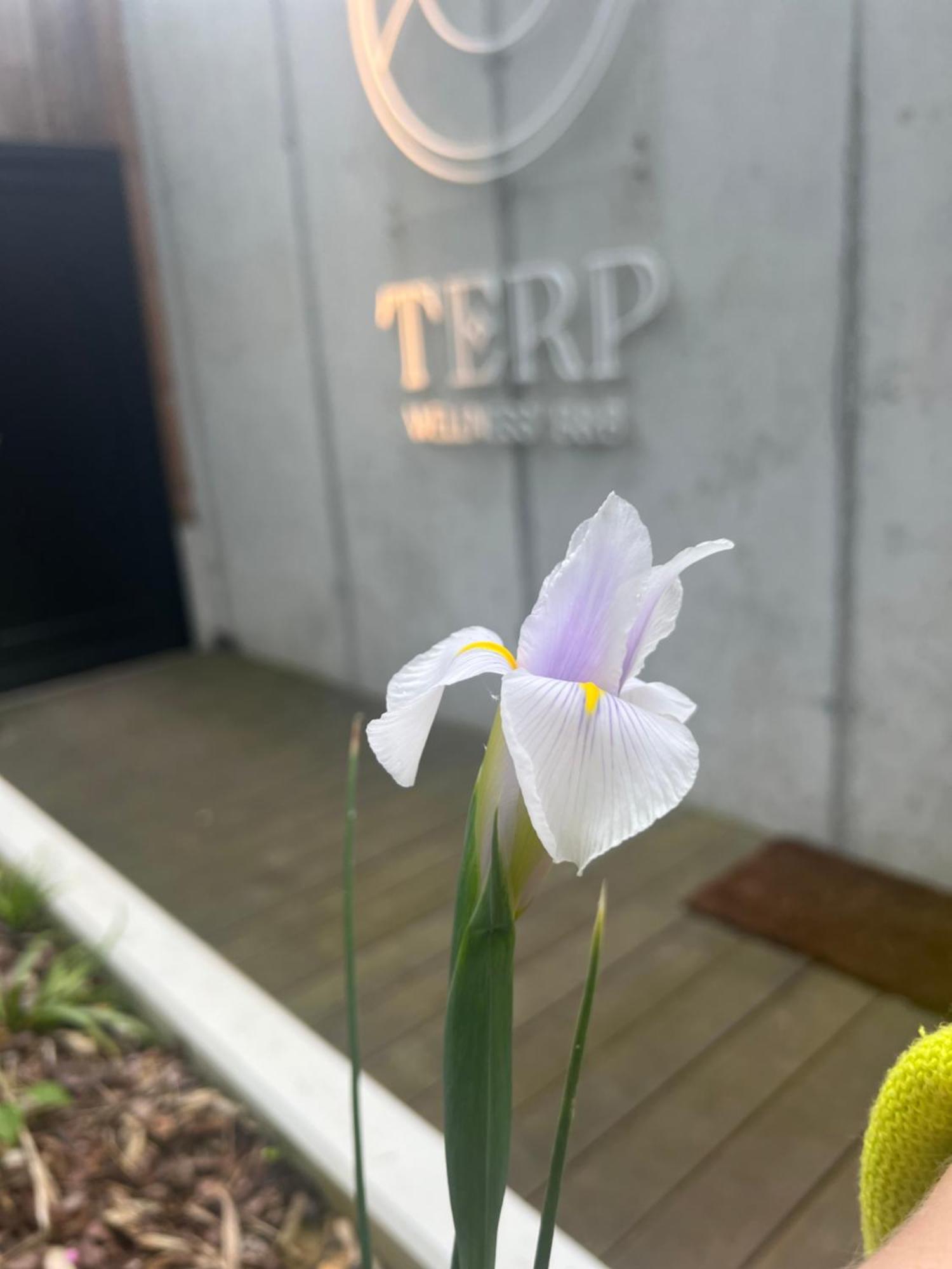 Terp Bed & Breakfast Poperinge Luaran gambar