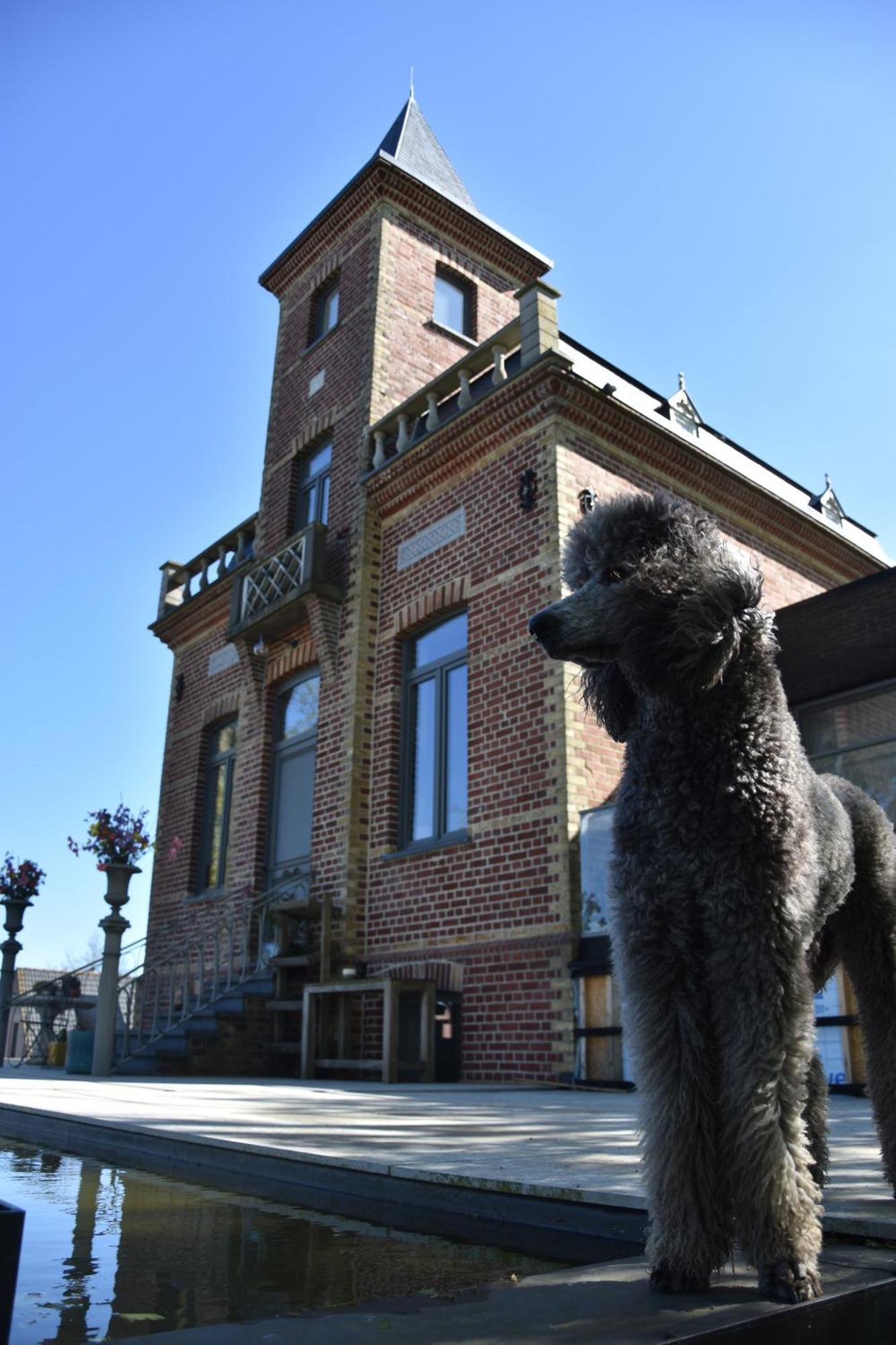 Terp Bed & Breakfast Poperinge Luaran gambar