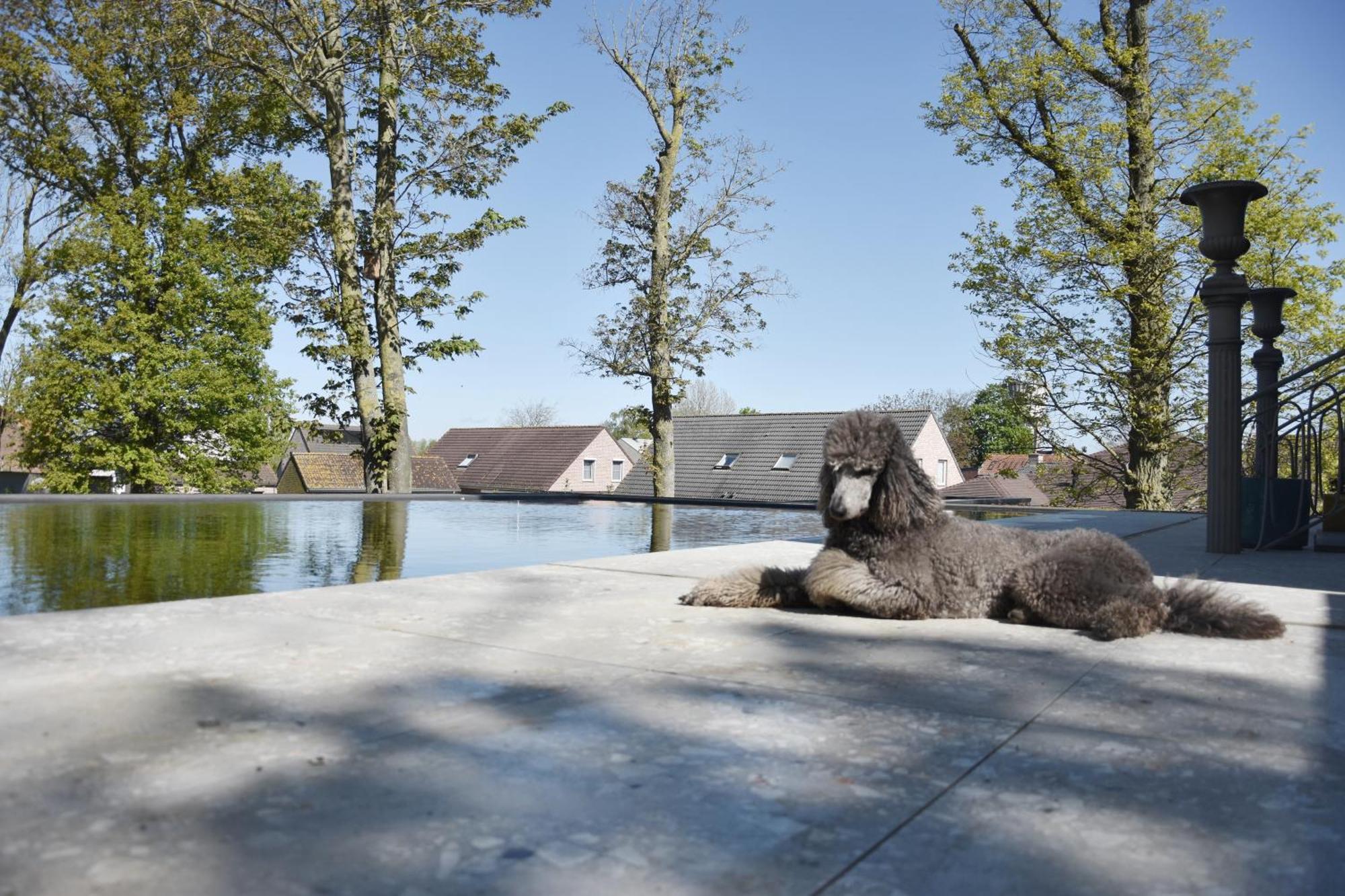 Terp Bed & Breakfast Poperinge Luaran gambar